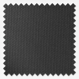 Accent Noir Cushion