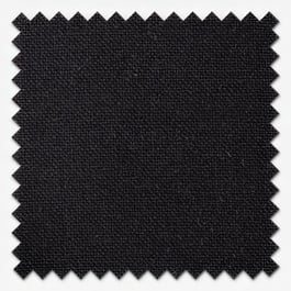 Canvas Black Cushion
