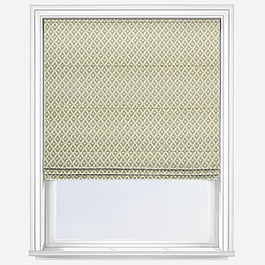 Billy Cucumber Roman Blind