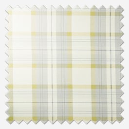 Prestigious Textiles Munro Chartreuse Curtain