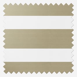 Arrezzo Beige Day and Night Blind