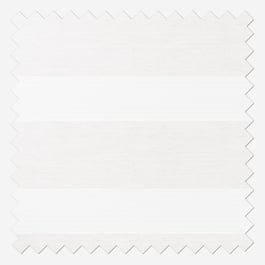 Dixie Ivory Day and Night Blind
