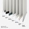 Carnival Blackout Ivory & White double_roller