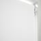 Carnival Blackout China White & White double_roller