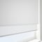 Carnival Blackout China White & White double_roller