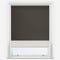 Optima Blackout Brown & SunVue Cream double_roller
