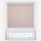 Pop Blackout Blush & White double_roller