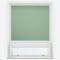 Pop Blackout Sage & White double_roller