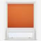Spectrum Blackout Burnt Orange & White double_roller