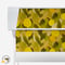 Sonova Studio Palermo Palette Sicilian Lemon roller