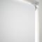 Coulisse Berlin Blackout Snow White roller