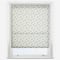 Lottie Rogue roller