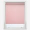 Carnival Blackout Pink roller
