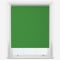 Sonova Studio Essenza Shamrock Green roller