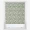Sonova Studio Nordic Pods Sage roller