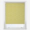 Sonova Studio Stars Ochre roller