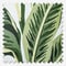 Tropical Palm Aloha roller