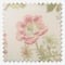 Shabby Chic by Rachel Ashwell Eloise Sheer Vintage Pink roller