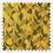 Sonova Studio Palermo Palette Sicilian Lemon roller