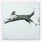 Sophie Allport Doggy Daycare Off White roller
