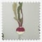 Sophie Allport Homegrown Grey roller