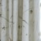 Voyage Nara Bamboo curtain
