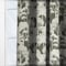 Mandrelle Forest curtain