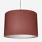 MOON Earth Raspberry lamp_shade