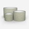 Miguel Moss lamp_shade