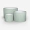 Beau Ivy lamp_shade