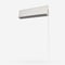 Wexley Angora roman