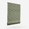 Altamira Olive roman