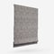 Belgravia Charcoal roman