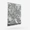 KAI Laurent Aniseed roman
