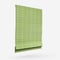 Orla Kiely Linear Stem Chalky Green roman