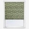 Altamira Olive roman