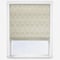 Allegra Linen roman