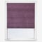 Toronto Plum roman