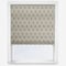 Roshni Oatmeal roman