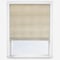 KAI Dinaric Gold roman