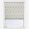 Iver Birch roman