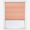 Canvas Cantaloupe Orange roman