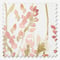Etta Sienna curtain