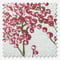 Hawthorn Cranberry roman