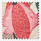 Edinburgh Weavers Lucy Fuchsia roman
