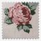 Emily Bond Emily Rose Rouge roman