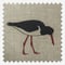 Emily Bond Oyster Catcher Charcoal roman