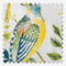 Florence Ochre roman