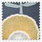 Scandi Floral Ochre roman