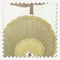 Scandi Floral Pampas roman